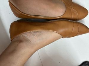 Formal Brown Bellies