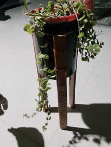 Plant Holder With Pot