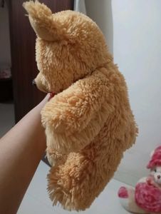 Teddy For Kids