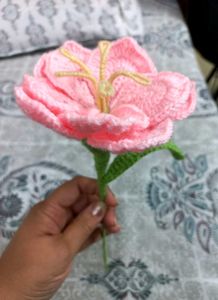 🩷🌷Beautiful Pink Platycodon Crochet Flower 🌺✨