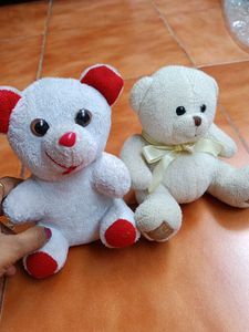Cute Teddy Bear Duo