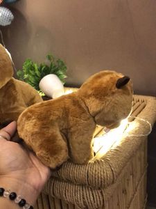 Cute Beaver Plush Set