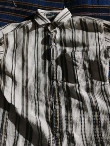 Striped Button-Down Shirt