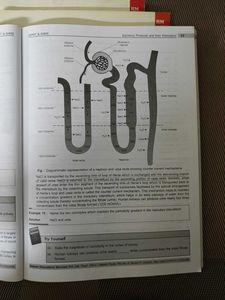Set Of 3 Zoology Books Class XI