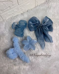 Blue Hair Clip Set🌊