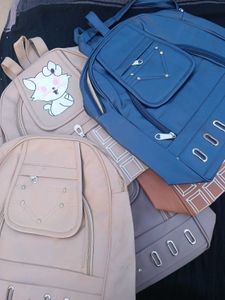 Clg Sch Bag