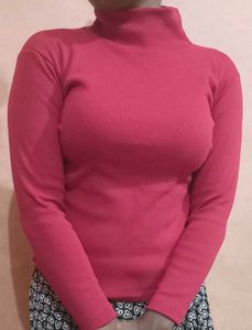 Turtle Neck Top
