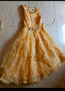 Net Gown