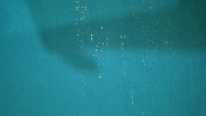 Combo Blouse Piece set Of 5