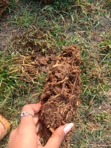 Upla/thepri/Cow Dung Cake