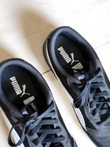 Puma Men Grey Astro Sala Sneaker