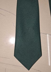 Seaweed Green Tie