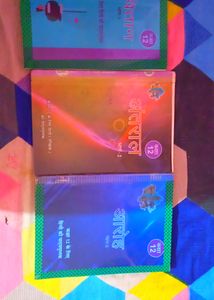 Class 12 Hindi Books Combo Of 3