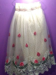 Elegant Embroidered Ethnic Gown