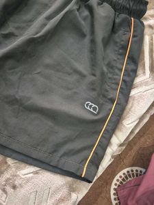 olive Grey Casual Shorts