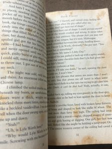 Dark Places By Gillian flynn