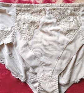 Beige colour silhouette Lace Detail Briefs/ pantie