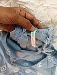 dress with chickenkari  embroidery