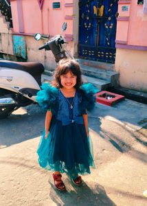 Smooth Net Princess frock