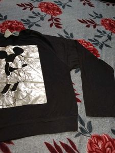 ZARA T- Shirt  (Top)
