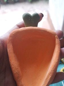 Trinket Dish