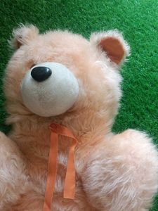 Kids Teddy Bear Soft Toys