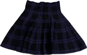checked black and blue skirt