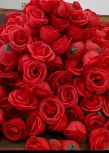 5 Pcs of Big Premium Quality Rose Flower Buds