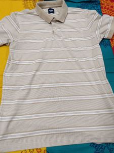 MAX Beige Striped Polo Shirt