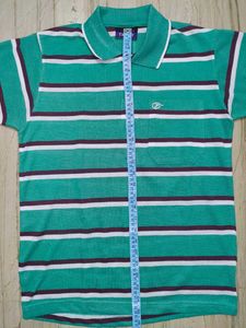 Striped Green Polo Shirt