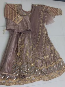 Mirror and Jardoji Work Beautiful Frock Lehenga