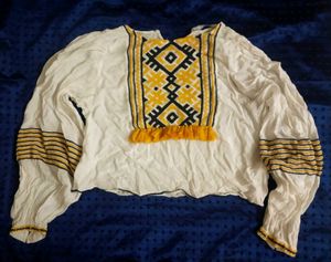 ZARA Folk Boho Embroidered Tassel Cropped Top
