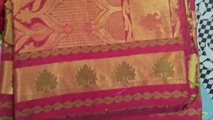 Organza Multicolored Saree