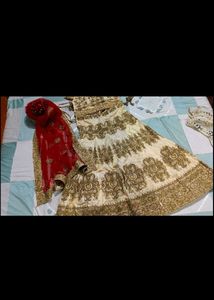Elegant Lehenga Choli Set