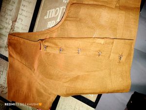 Shiny Saree With Blouse