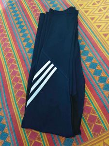 Nevy Blue Stretchable Legging