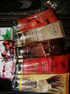 Body Cupid WholeSale Price🎉😍