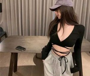Crop Full Sleeve V-neck Top