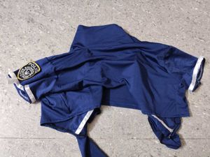 Police Cosplay Coverup