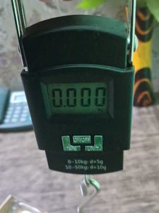 Digital Hanging Luggage Scale