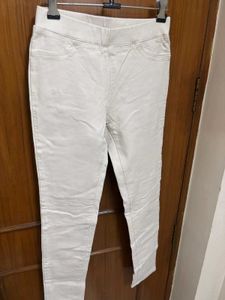 Winter Beige Slim Fit Pant/ Trousers