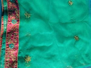 Gorgeous Lehenga Choli