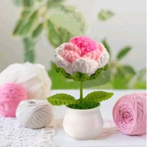 Crochet Flower Pot