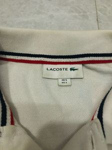Lacoste Polo Tshirt