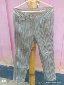 Stretchable Pant