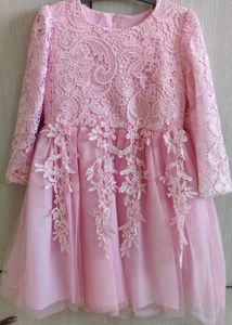 Girls Polycotton Adorable Net Embroidered Dress