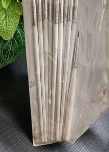 Nail Art Or makeup Brush Set