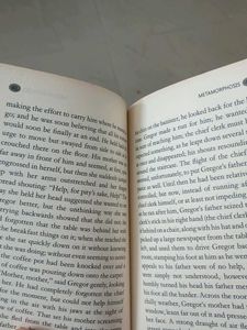 Metamorphosis by Franz Kafka