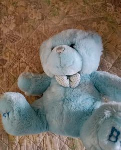 Teddy Bear 🧸