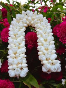 Artificial Jasmine Flower